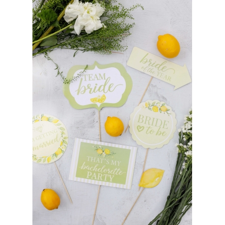 6 Parça Bekarlığa Veda Temalı Limon Detaylı Pankart Seti