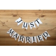 JUST MARRIED RUSTIC BANNER