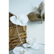 RUSTIC TEMALI BRIDE PACK